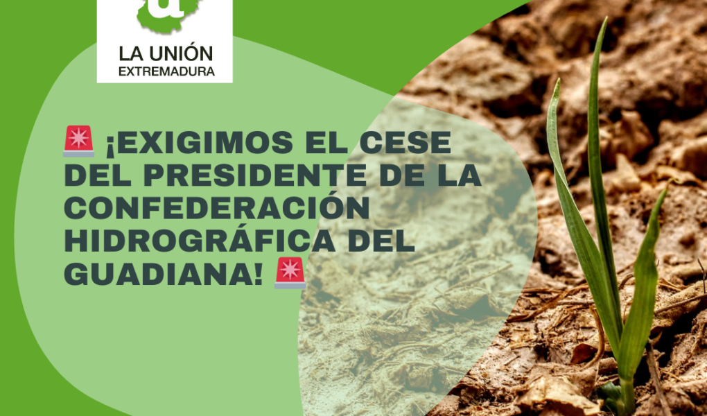 Unión Extremadura (40)