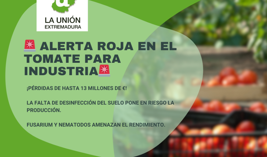 Unión Extremadura (75)