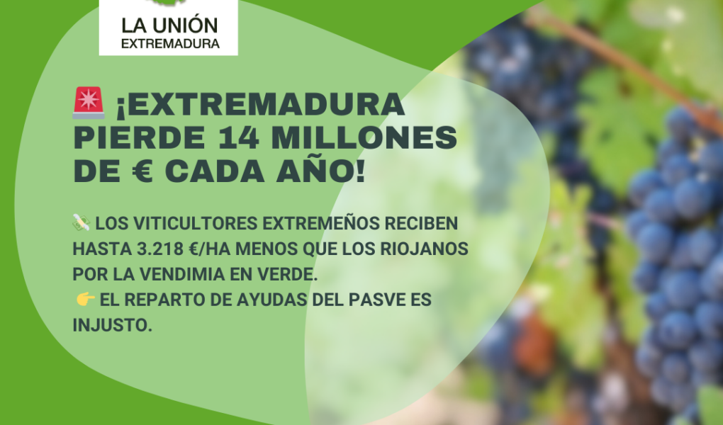 Unión Extremadura (78)