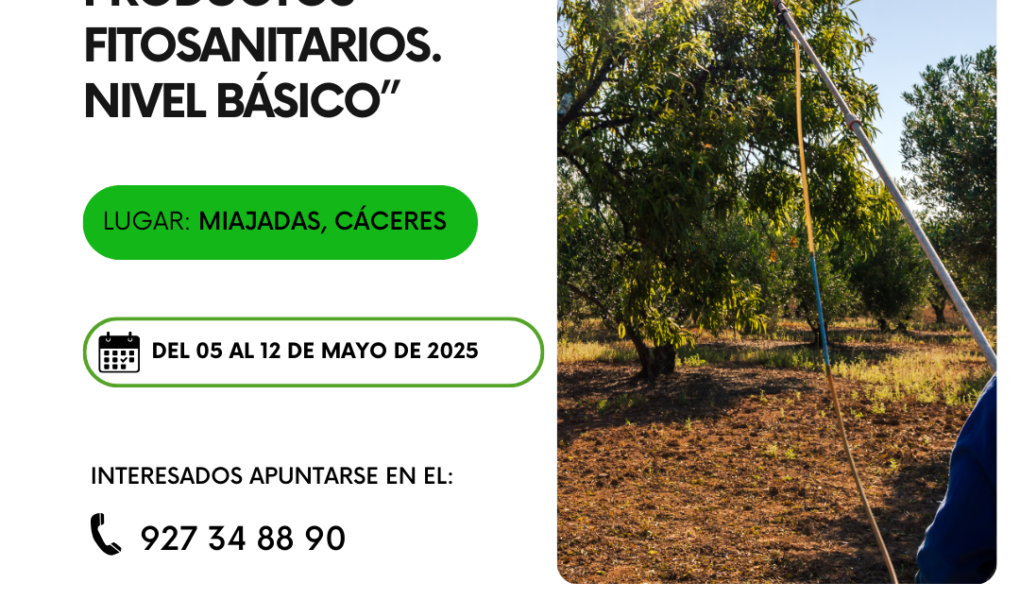 Curso (Post de Instagram (45))