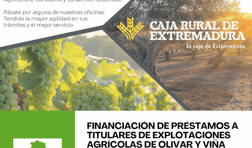 Unión Extremadura (90)