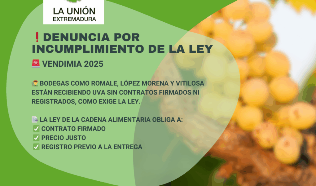 Unión Extremadura 2025 08 19T134256.898