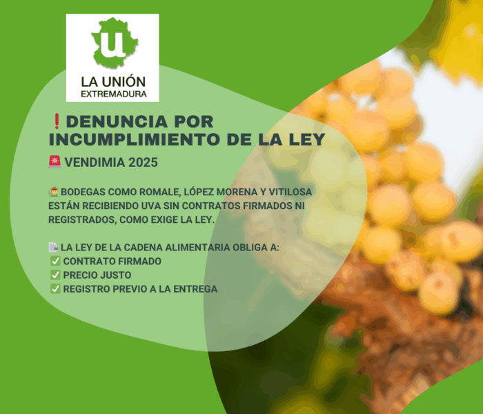 Unión Extremadura 2025 08 19T134256.898