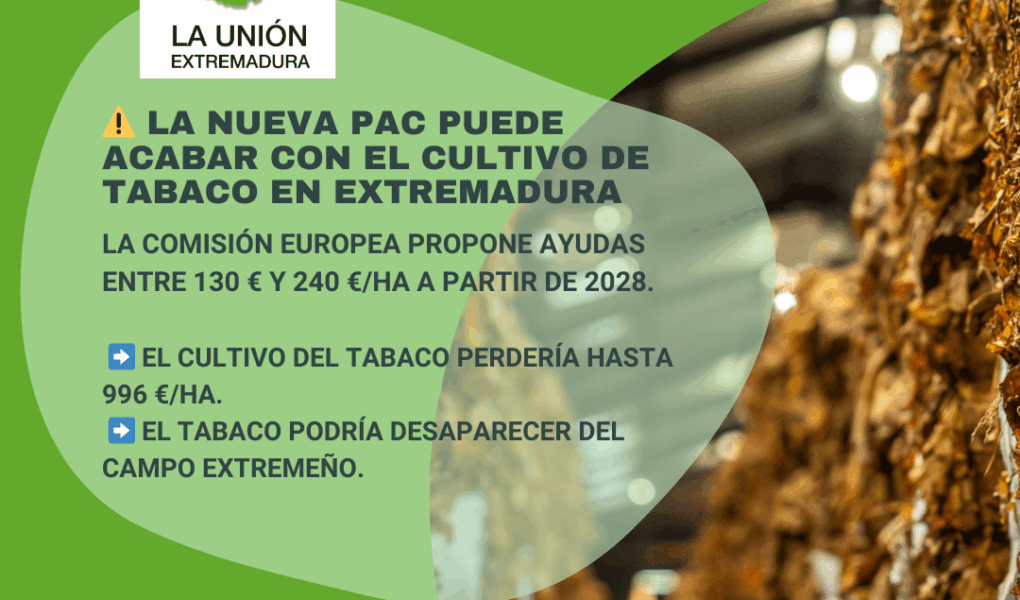 Unión Extremadura 2025 08 22T113347.887