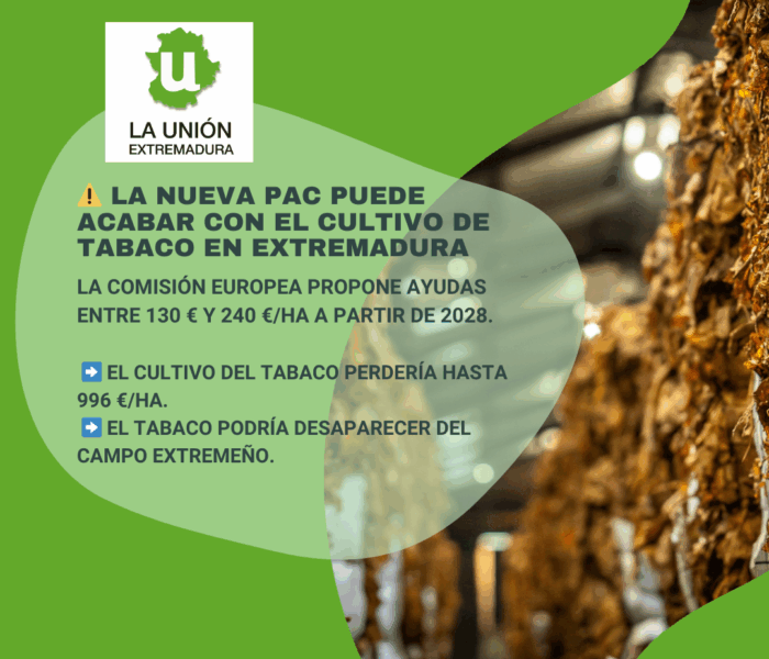 Unión Extremadura 2025 08 22T113347.887