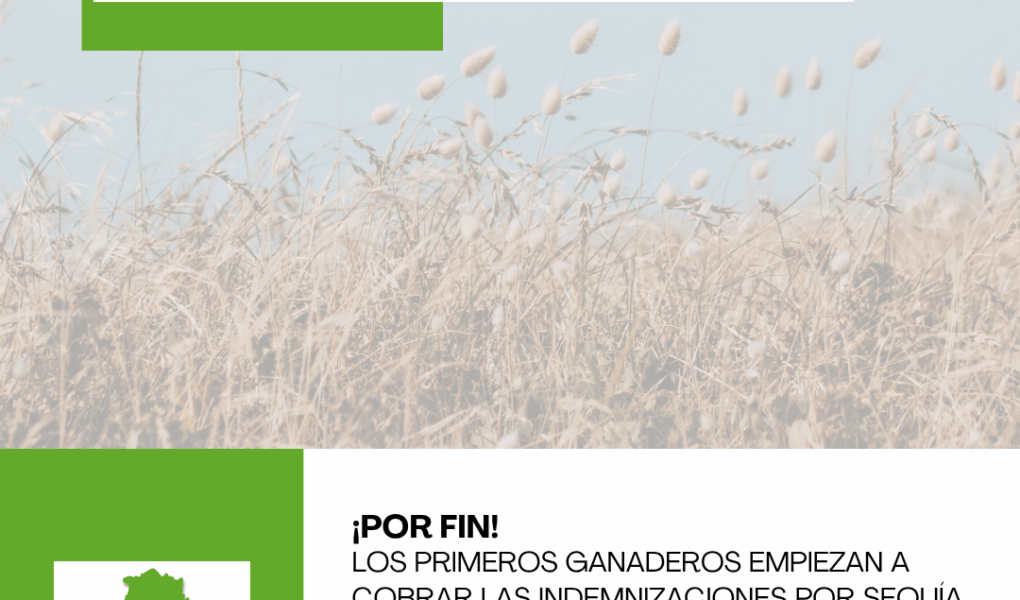 Unión Extremadura (95)
