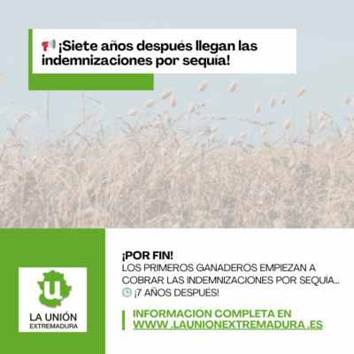 Unión Extremadura (95)