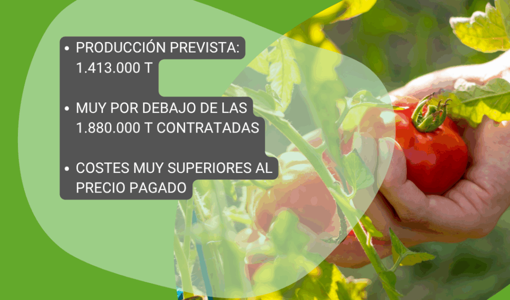 Unión Extremadura (99)