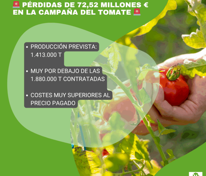 Unión Extremadura (99)