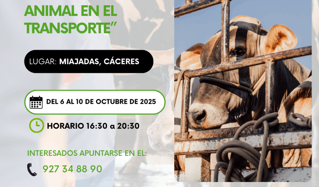 ANIMAL MIAJADAS