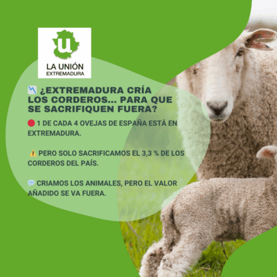 Unión Extremadura 2025 09 26T200524.463