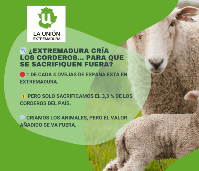 Unión Extremadura 2025 09 26T200524.463