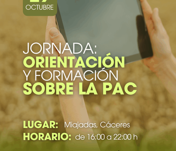 CURSOS LA UNIÓN (Post de Instagram (45)) LA PAC (2)