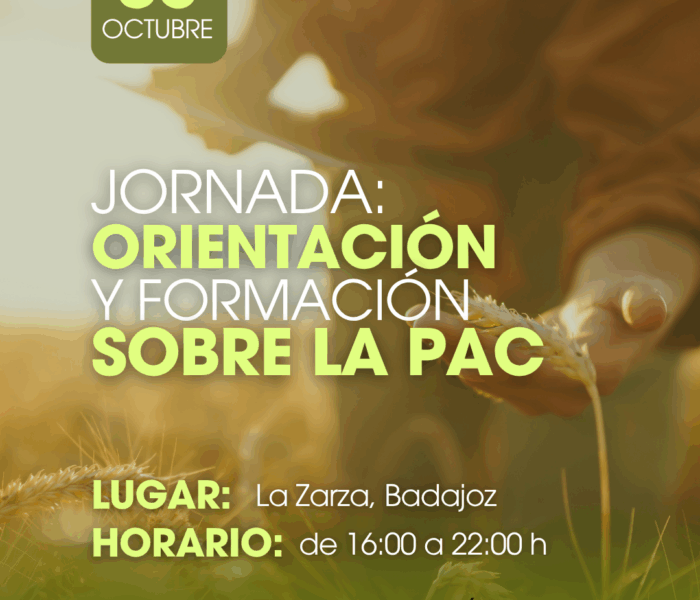 CURSOS LA UNIÓN (Post de Instagram (45)) LA PAC (3)