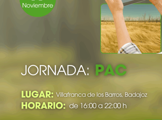 CURSOS LA UNIÓN (Post de Instagram (45)) LA PAC (4)