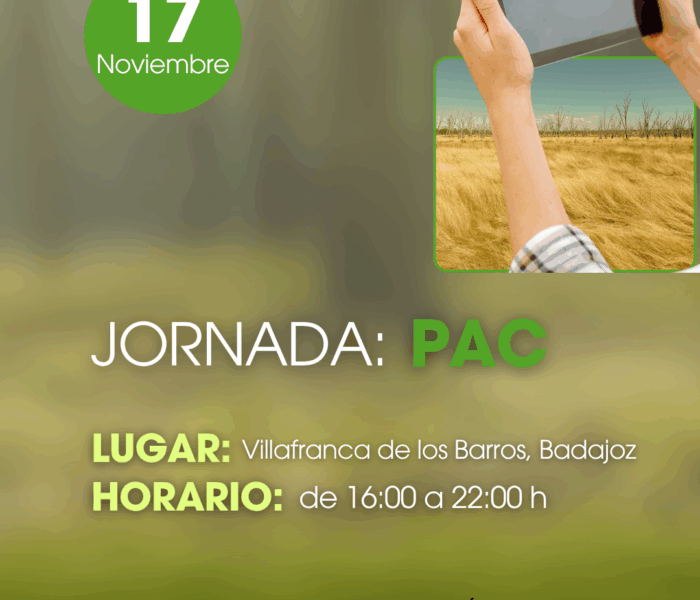 CURSOS LA UNIÓN (Post de Instagram (45)) LA PAC (4)