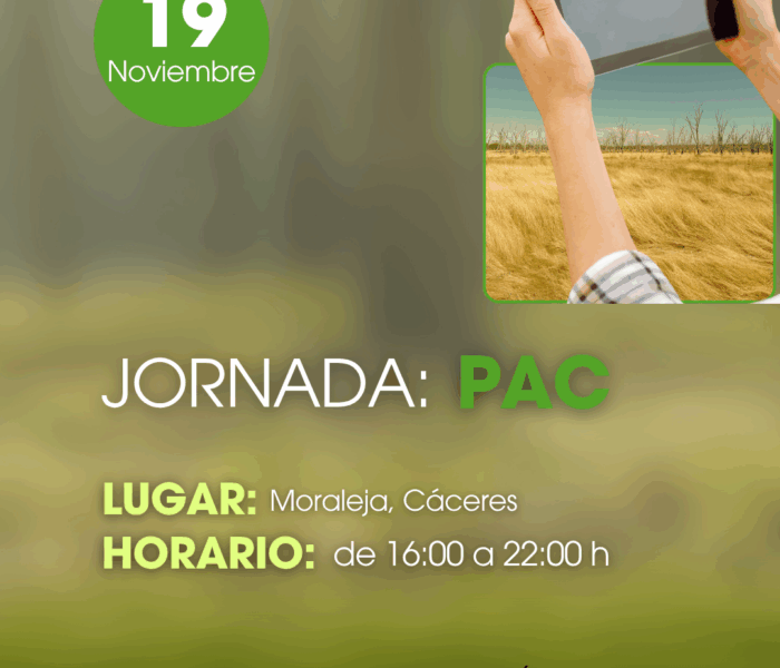 CURSOS LA UNIÓN (Post de Instagram (45)) LA PAC (5)