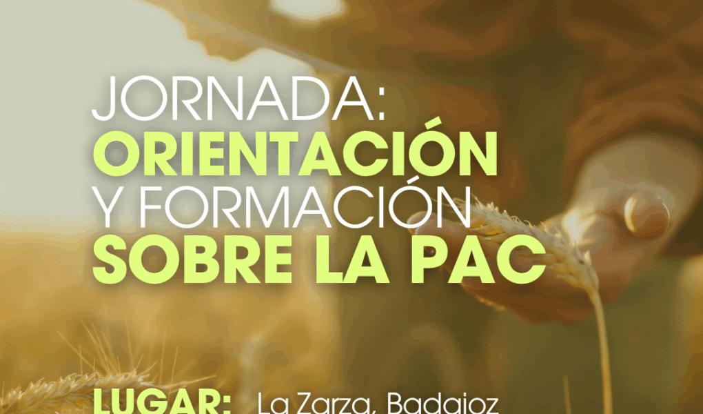 CURSOS LA UNIÓN (Post de Instagram (45)) LA PAC (6)