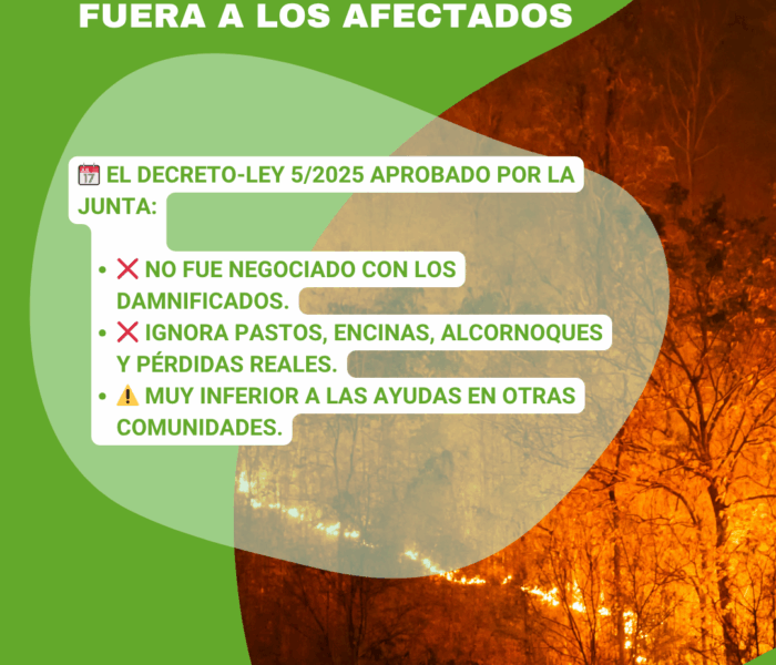 Unión Extremadura (Post de Instagram (45)) (4)