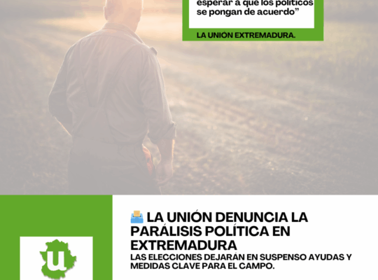 Unión Extremadura 2025 11 03T121644.196