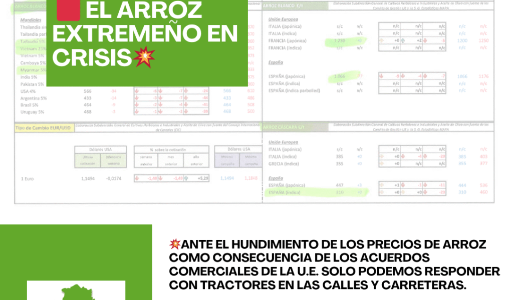 Unión Extremadura 2025 11 17T124641.633