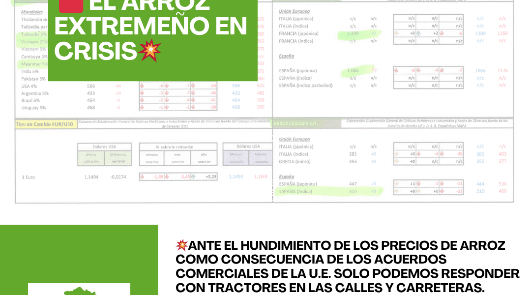 Unión Extremadura 2025 11 17T124641.633