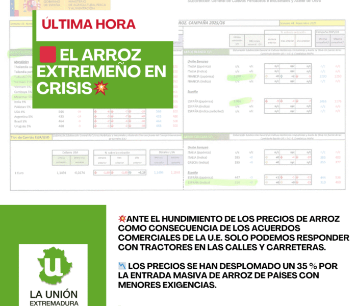 Unión Extremadura 2025 11 17T124641.633