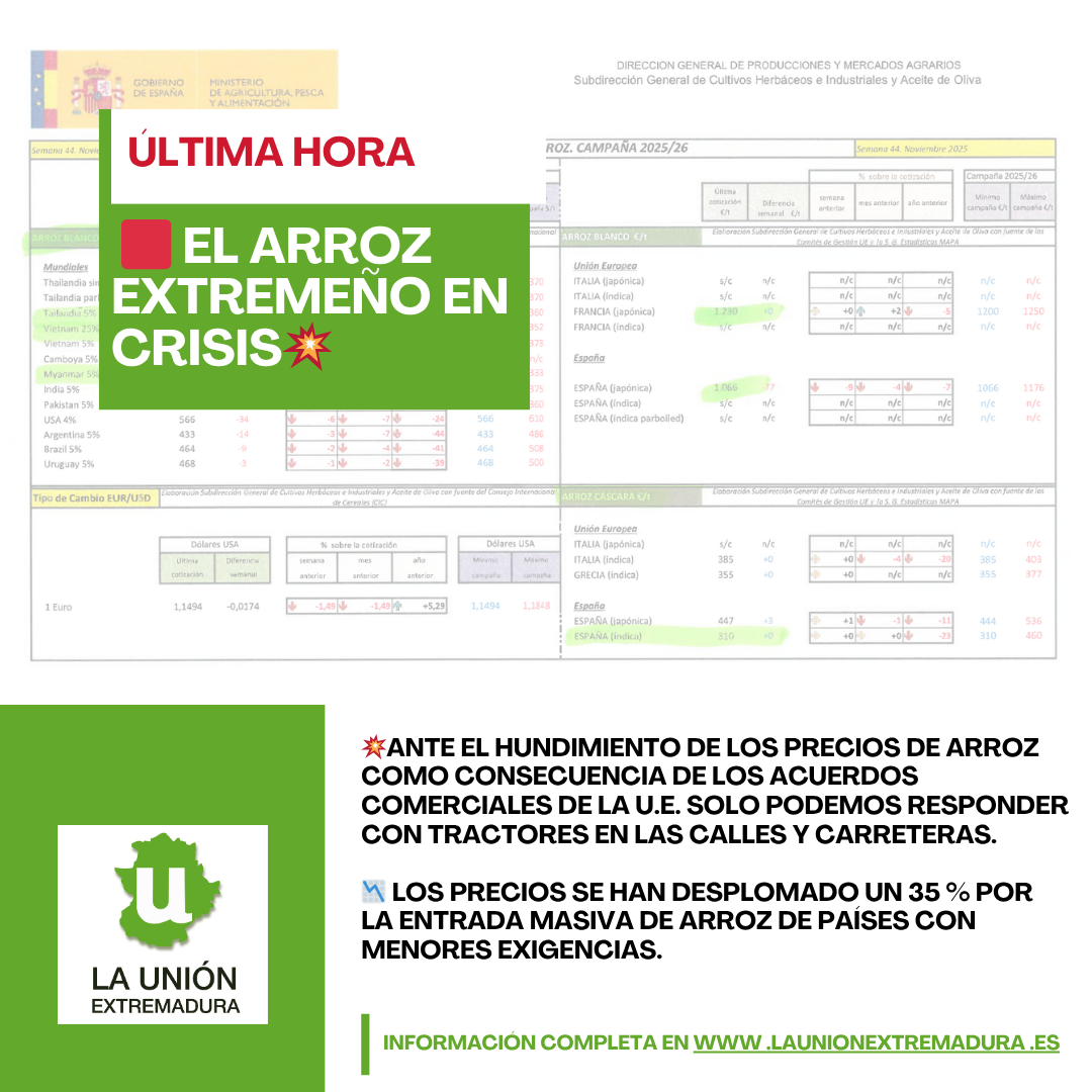 Unión Extremadura 2025 11 17T124641.633