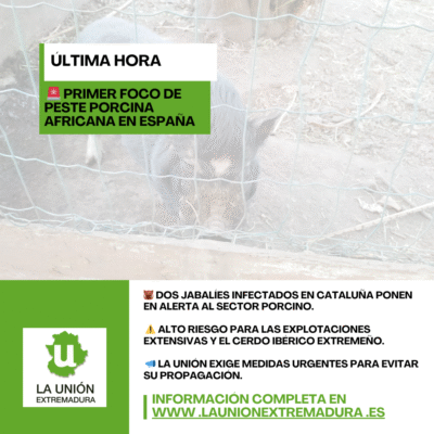 Unión Extremadura 2025 11 28T130106.023