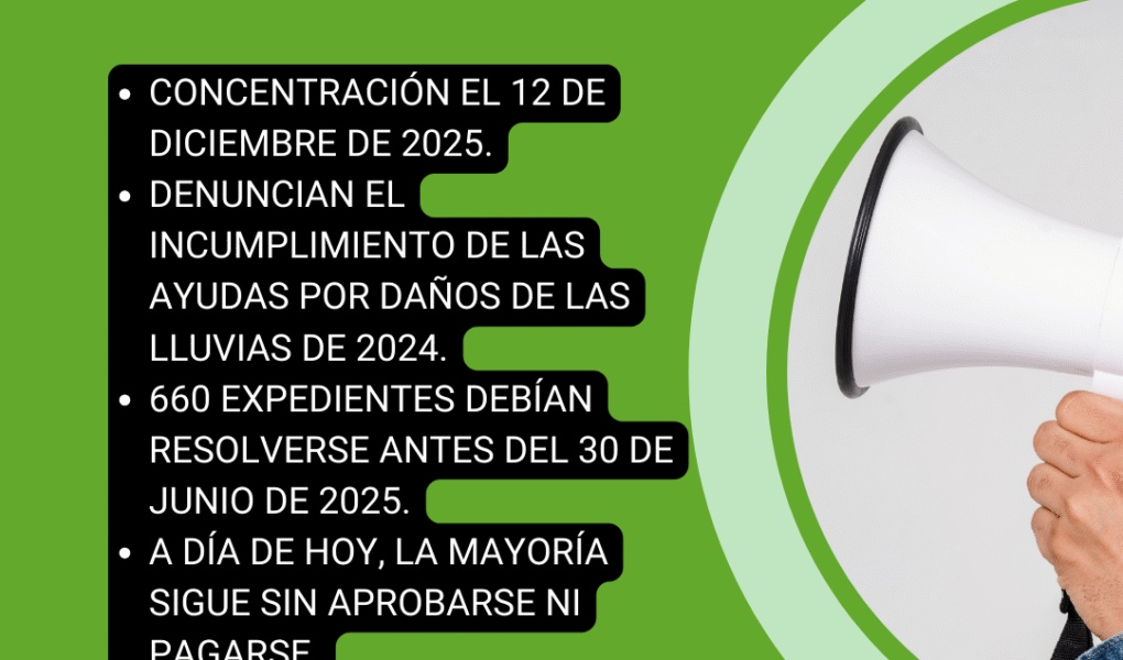 Unión Extremadura 2025 12 12T162555.431