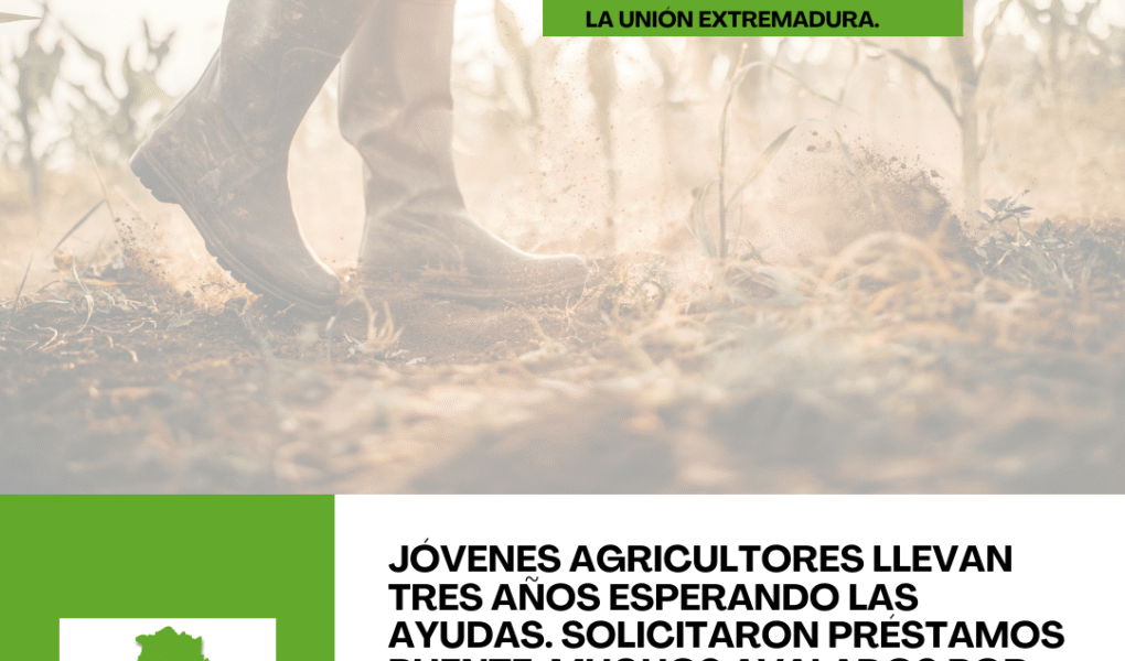 Unión Extremadura 2025 12 16T134452.920