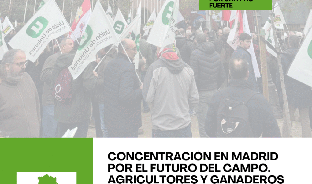 Unión Extremadura 2025 12 19T141038.136