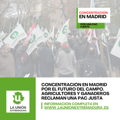 Unión Extremadura 2025 12 19T141038.136