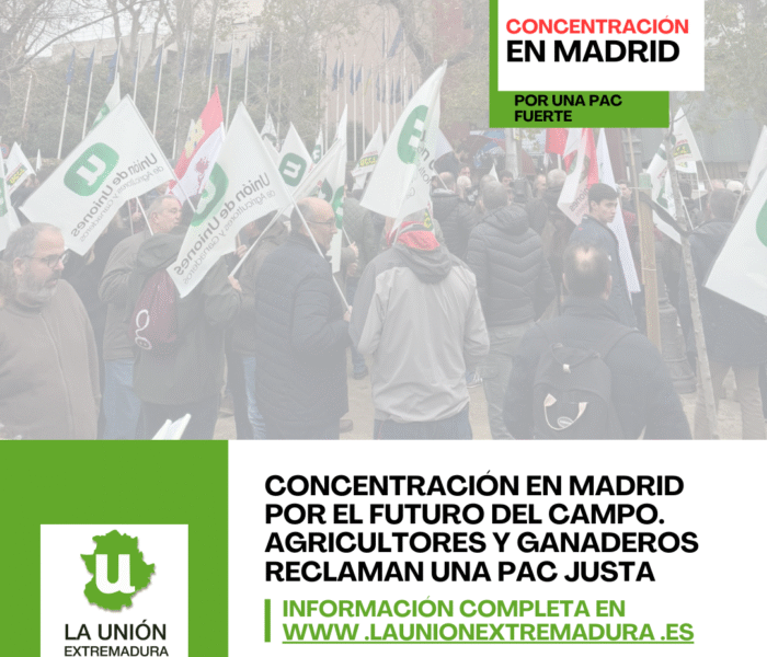 Unión Extremadura 2025 12 19T141038.136