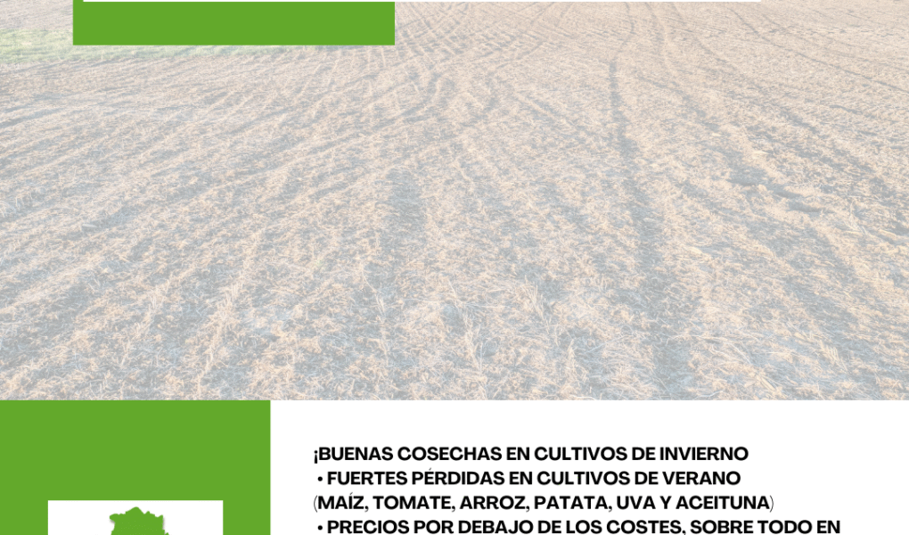 Unión Extremadura 2025 12 30T183034.358