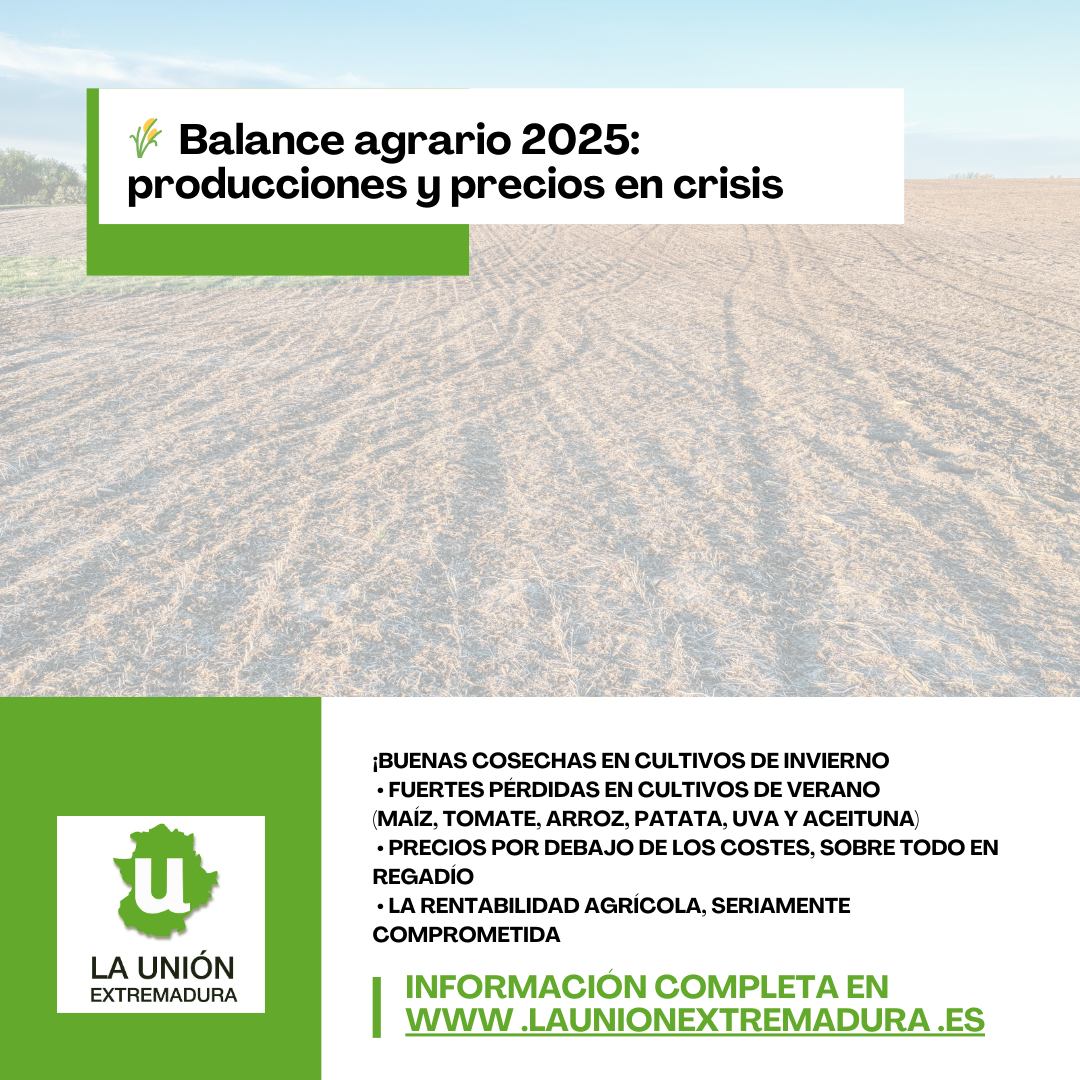 Unión Extremadura 2025 12 30T183034.358