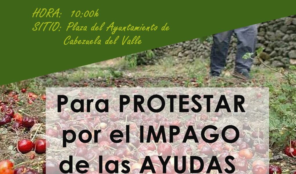 WhatsApp Image 2025 12 01 at 13.53.37