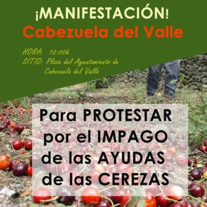 WhatsApp Image 2025 12 01 at 13.53.37