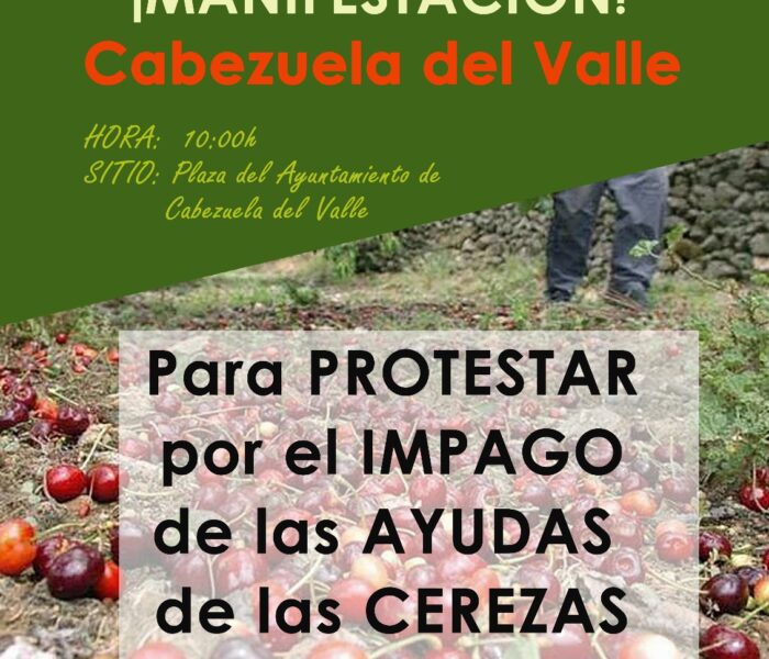 WhatsApp Image 2025 12 01 at 13.53.37