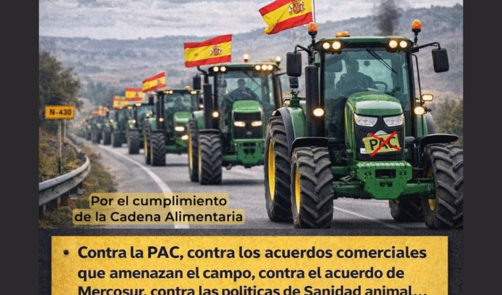 Diseño sin título (40)