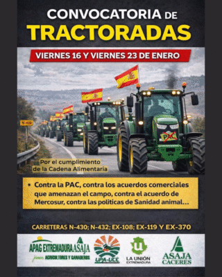 Diseño sin título (40)