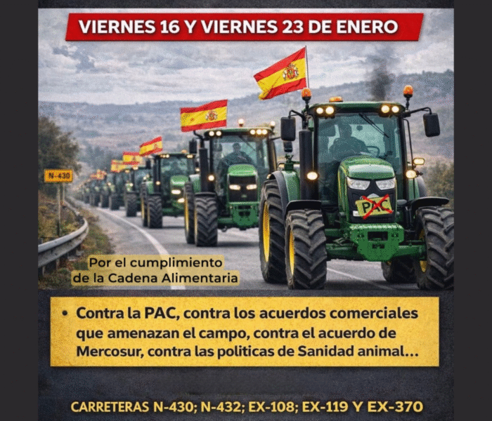 Diseño sin título (40)