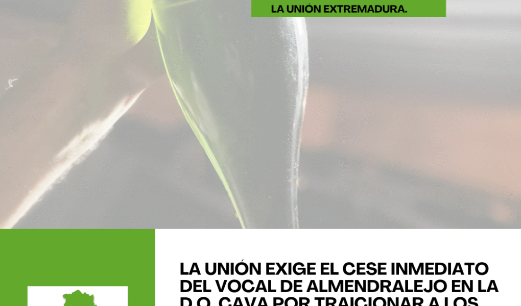 Unión Extremadura 2026 01 07T122419.285