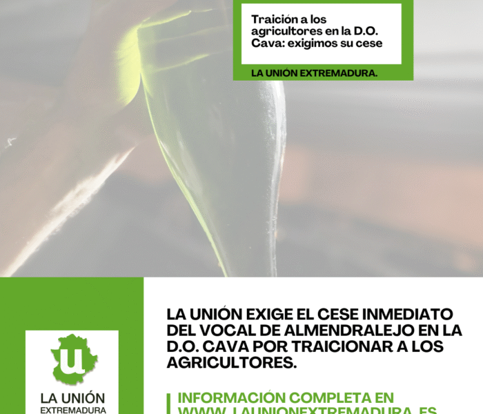 Unión Extremadura 2026 01 07T122419.285