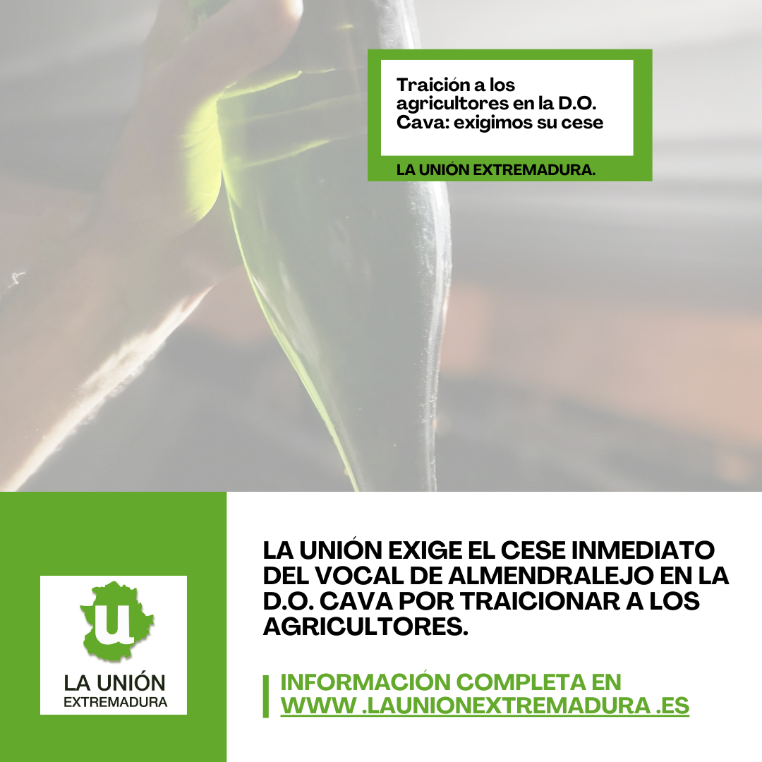 Unión Extremadura 2026 01 07T122419.285