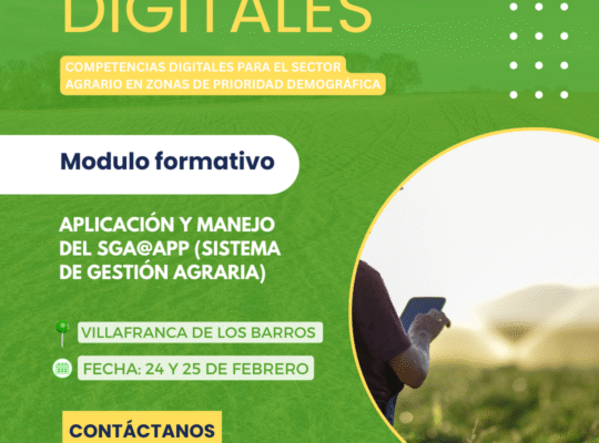 COMPETENCIAS DIGITALES VILLAFRANCA