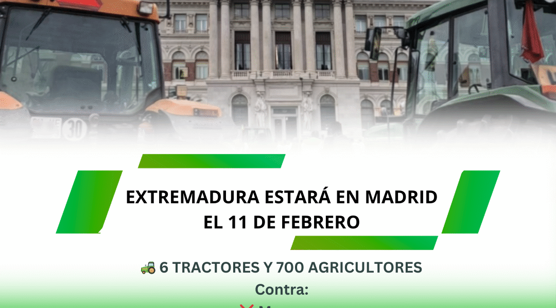 Unión Extremadura 2026 02 09T153505.363