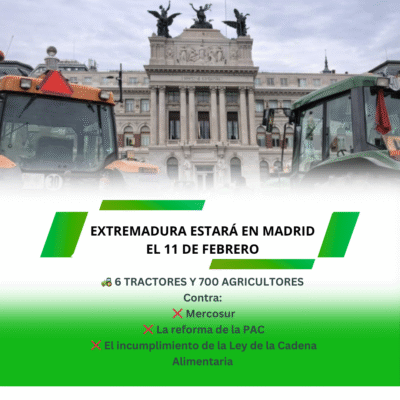 Unión Extremadura 2026 02 09T153505.363