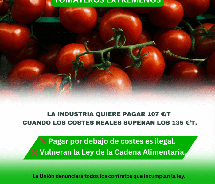 Unión Extremadura (Post de Instagram (45)) (5)