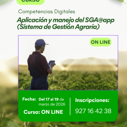 Captura de pantalla 2026 03 04 163907